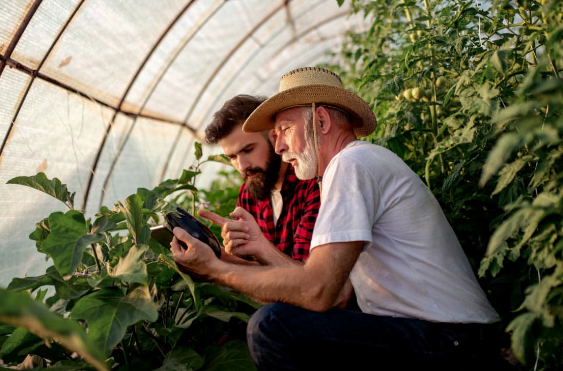 FarmersOrigin quality testing